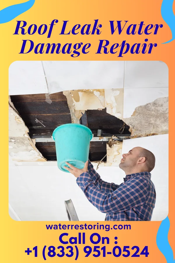 Roof Leak Water Damage Repair in Novice, TX